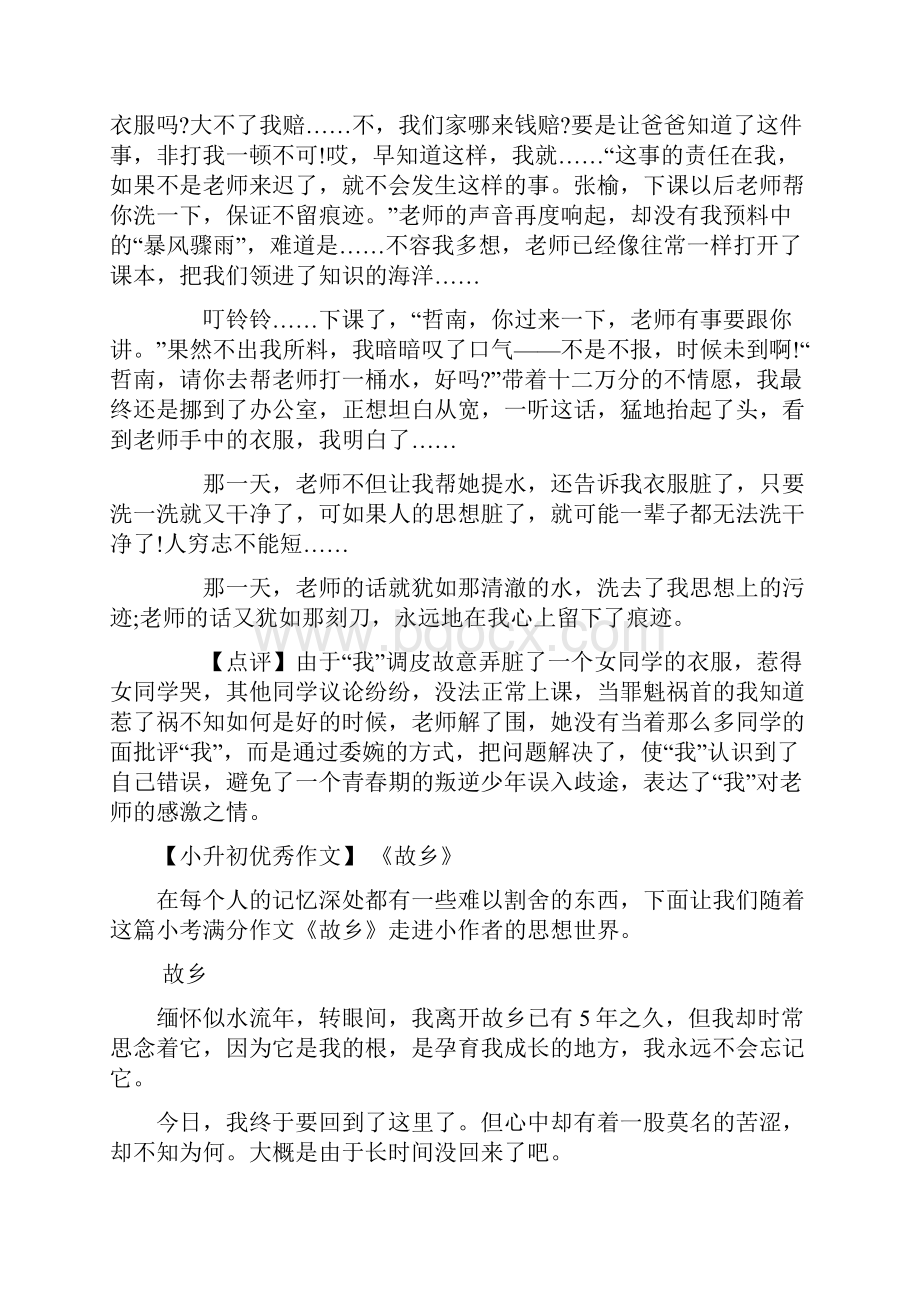 精编版小升初满分作文精选10篇.docx_第3页