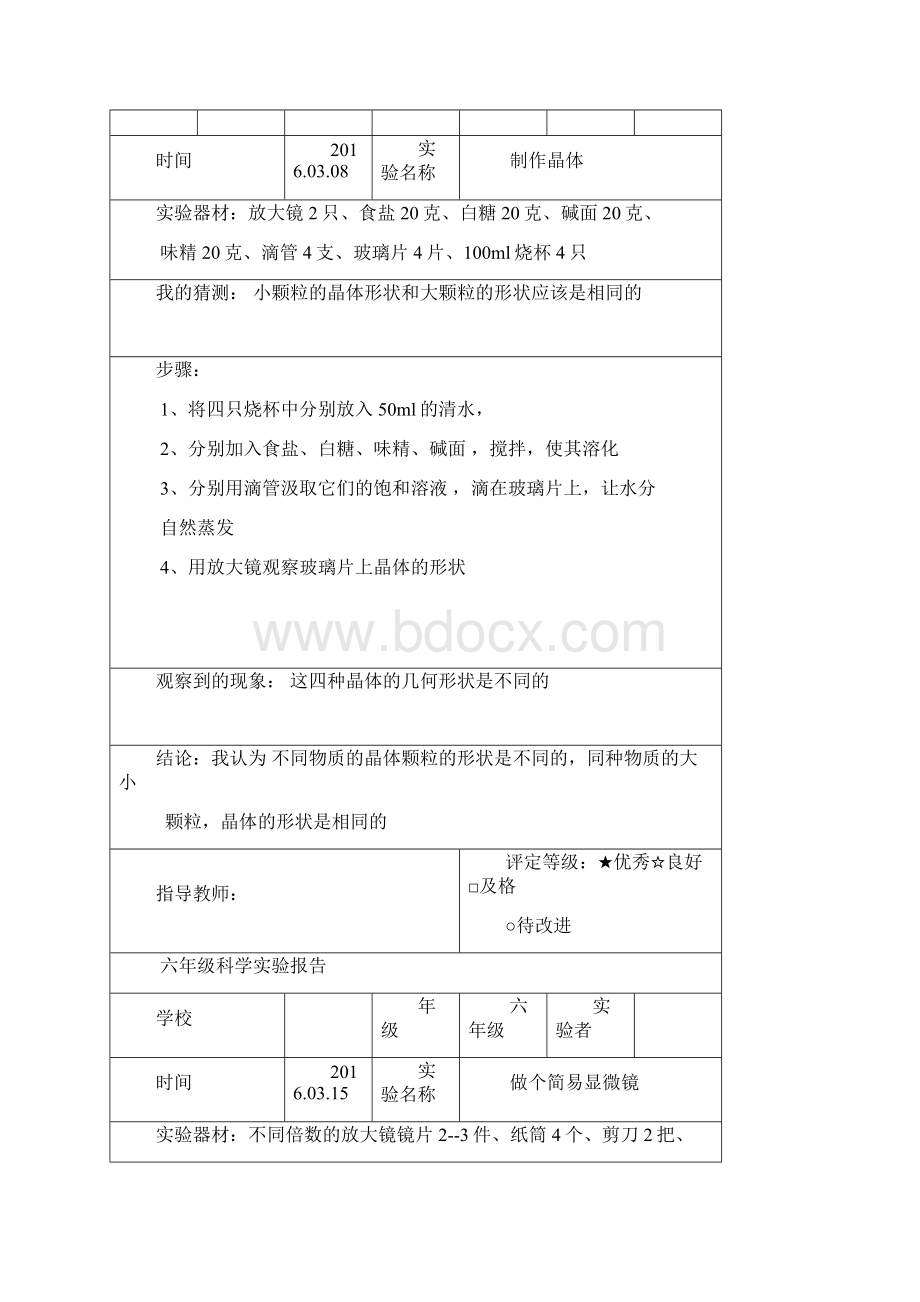 最新教科版六年级科学下册实验报告单.docx_第3页