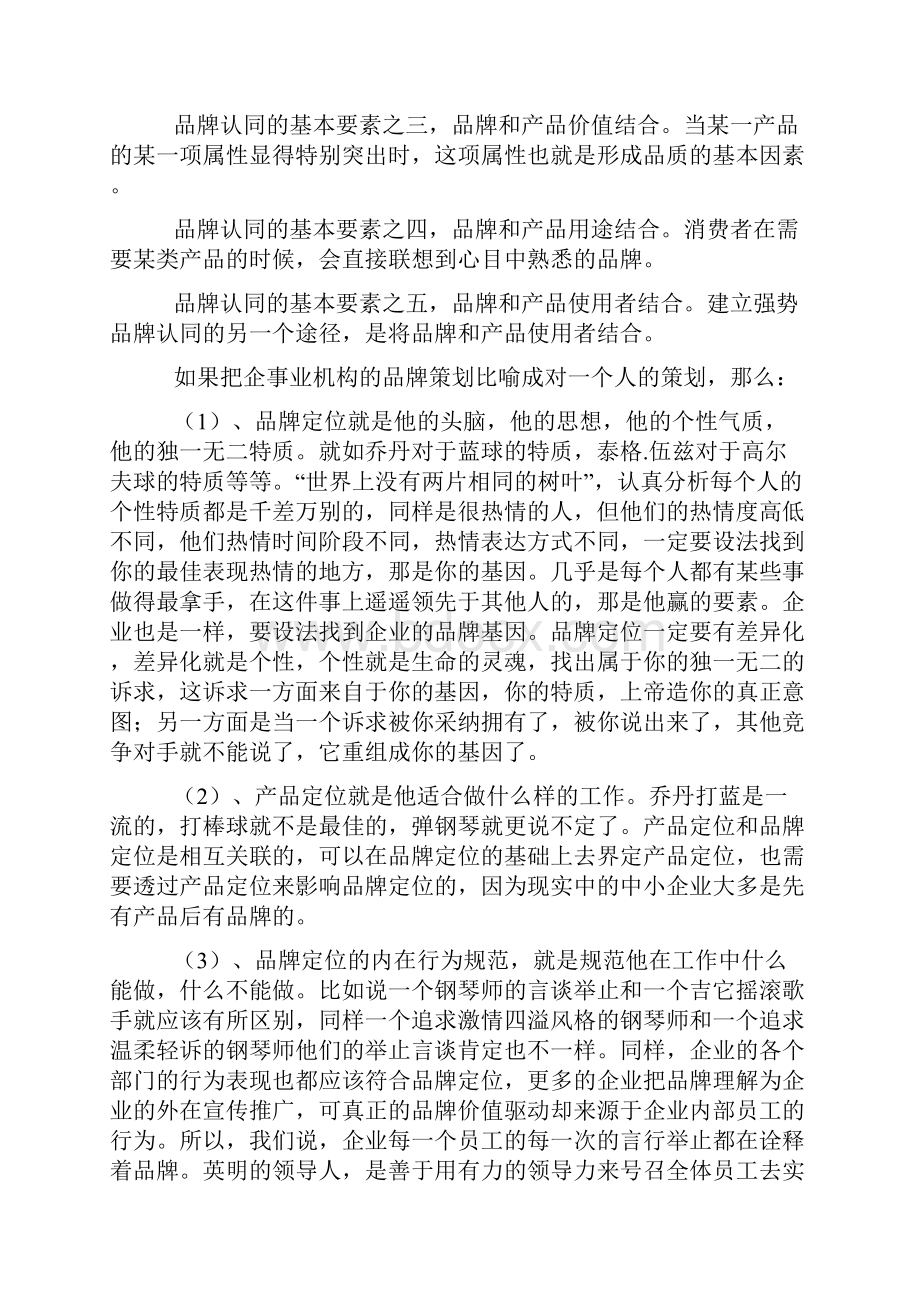 企业品牌策划总结.docx_第2页