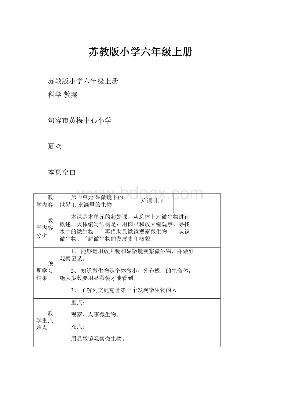 苏教版小学六年级上册.docx