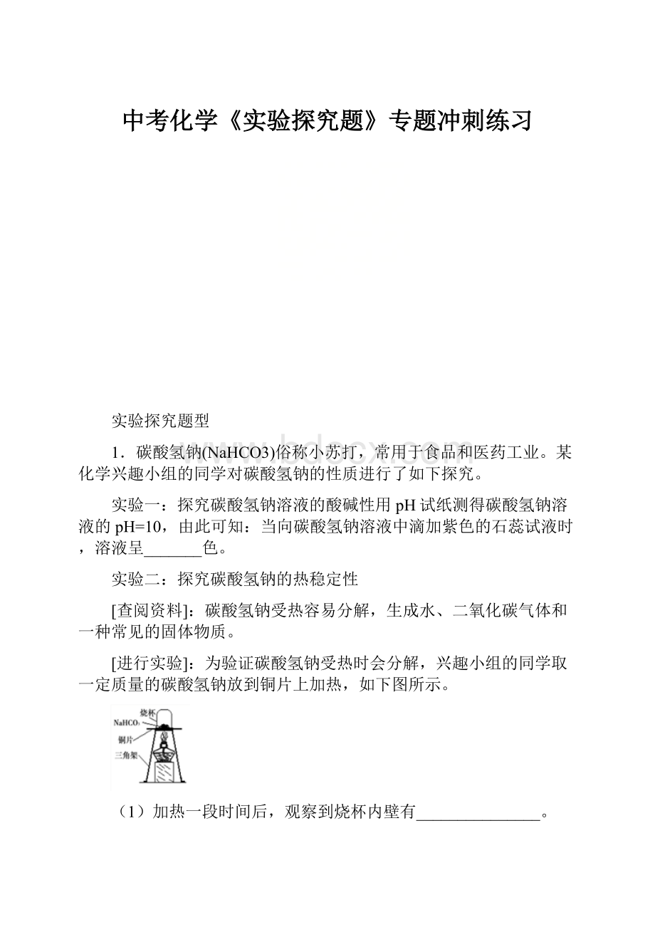 中考化学《实验探究题》专题冲刺练习.docx