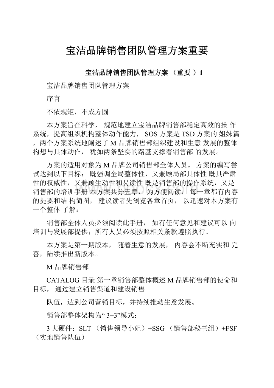 宝洁品牌销售团队管理方案重要.docx