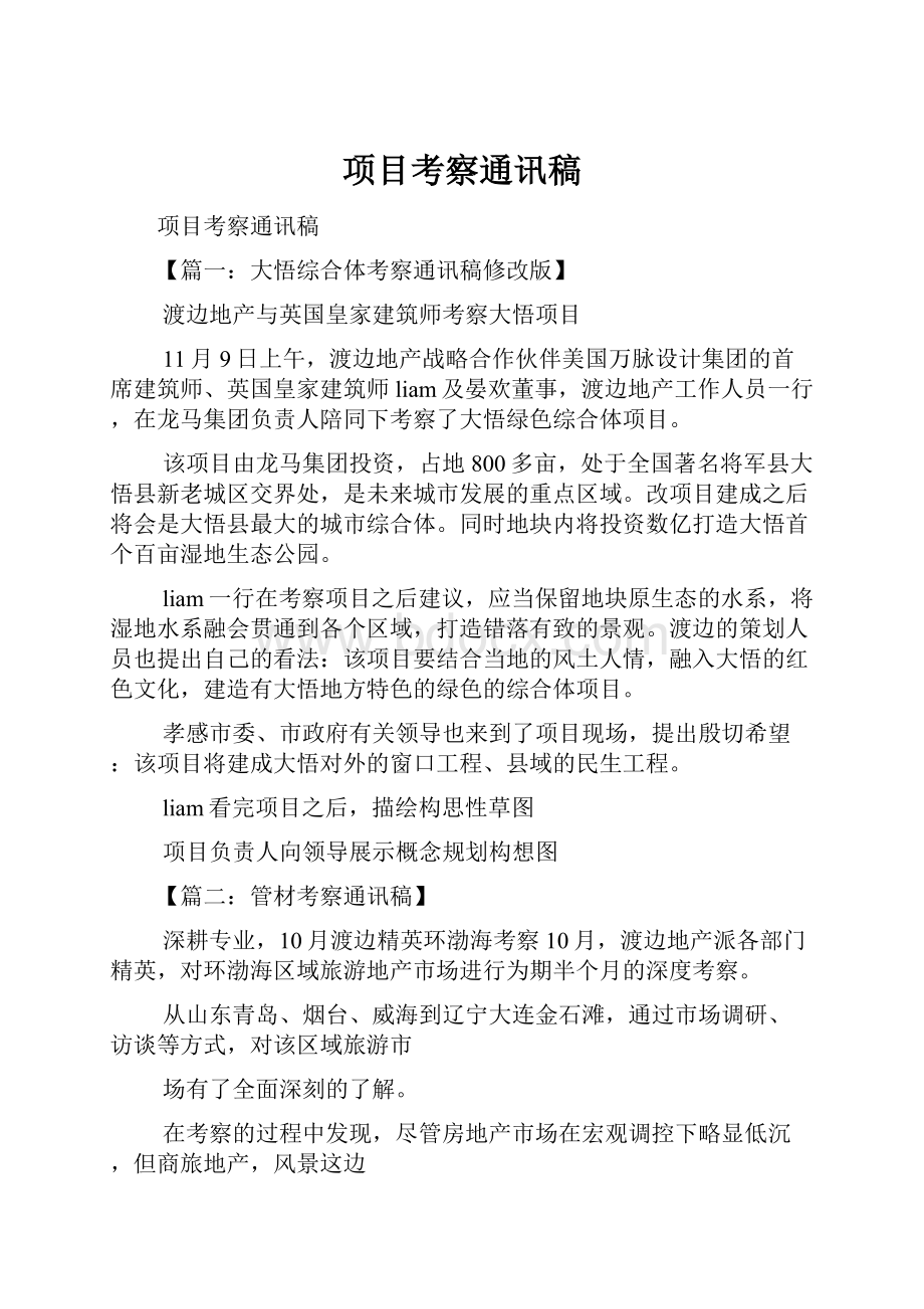 项目考察通讯稿.docx