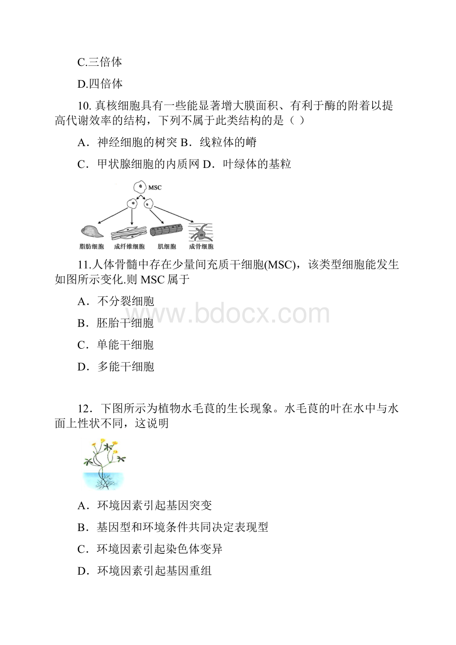 生物二模徐汇有答案.docx_第3页