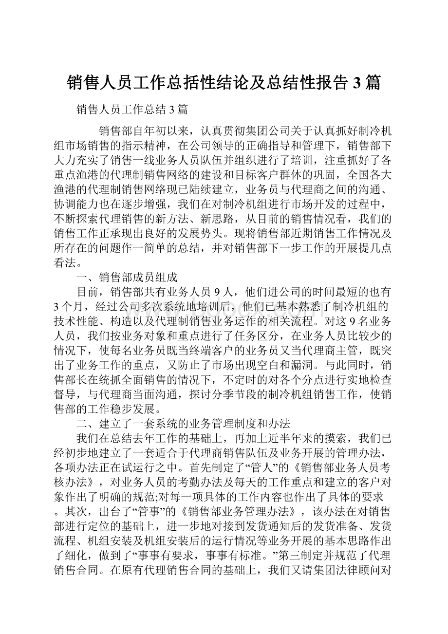 销售人员工作总括性结论及总结性报告3篇.docx