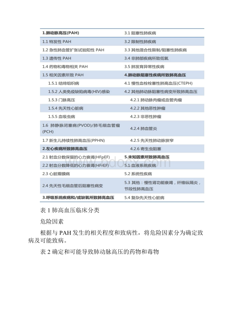 中国肺高血压诊断和治疗指南.docx_第2页