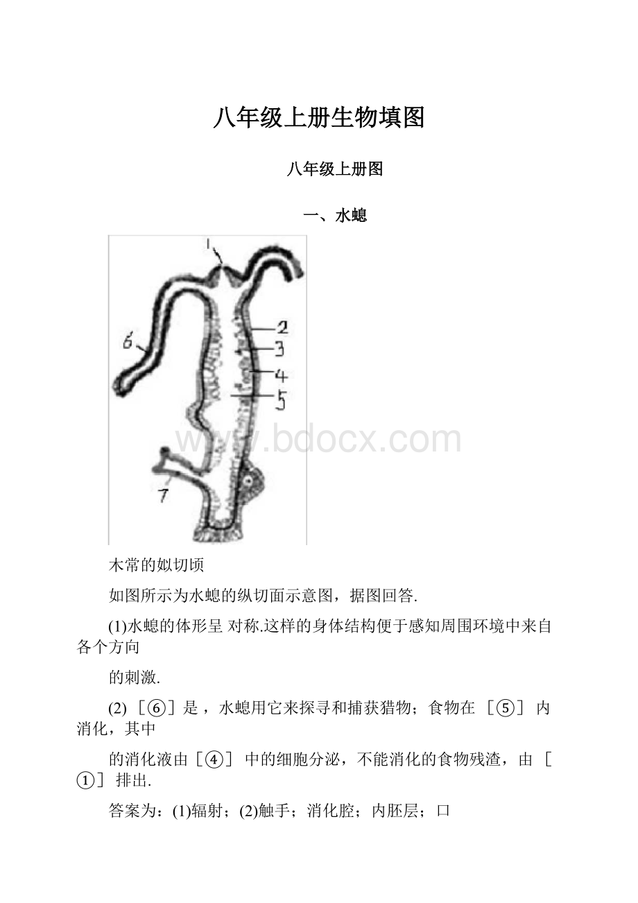 八年级上册生物填图.docx