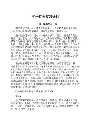 初一期末复习计划.docx