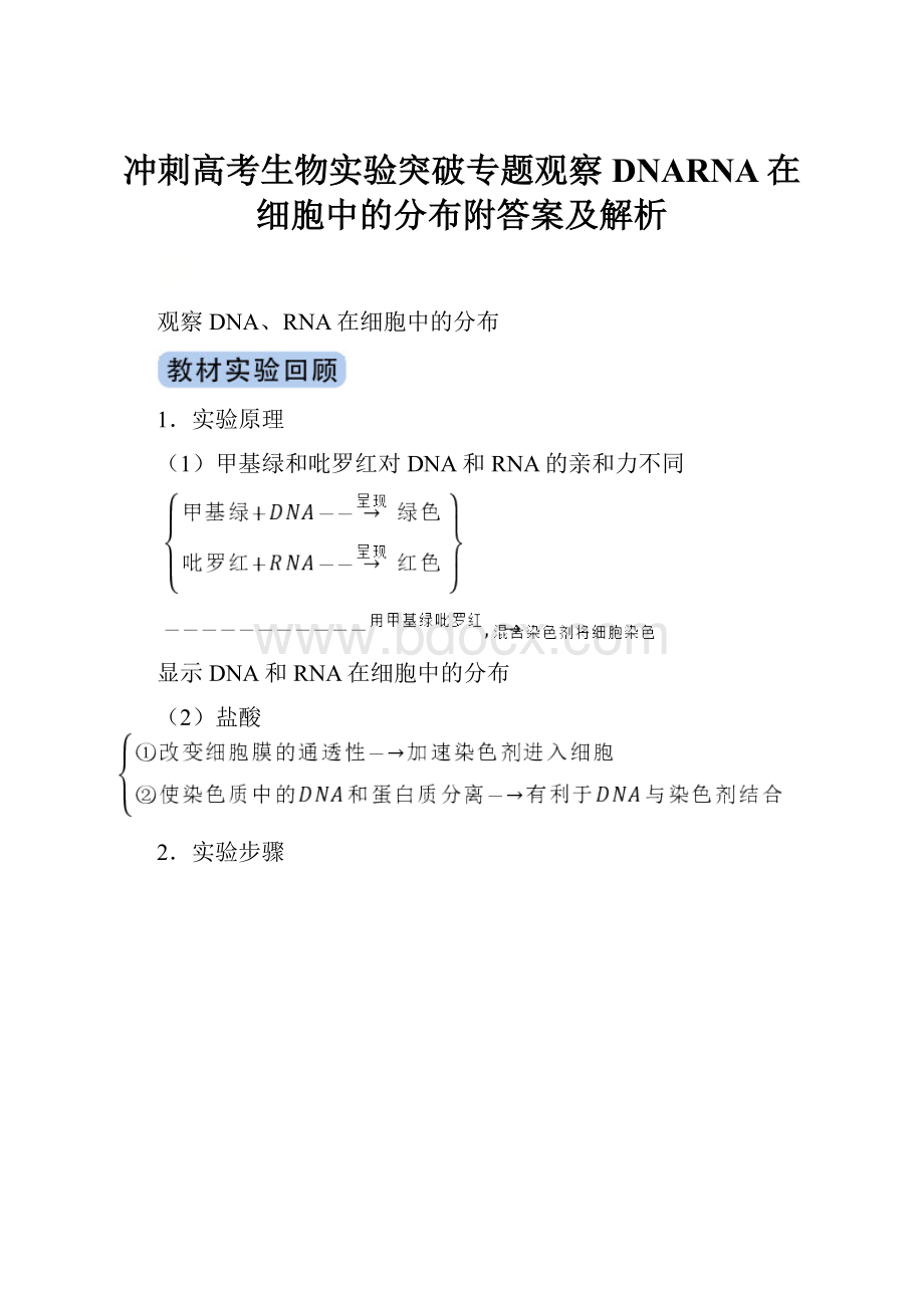 冲刺高考生物实验突破专题观察DNARNA在细胞中的分布附答案及解析.docx_第1页