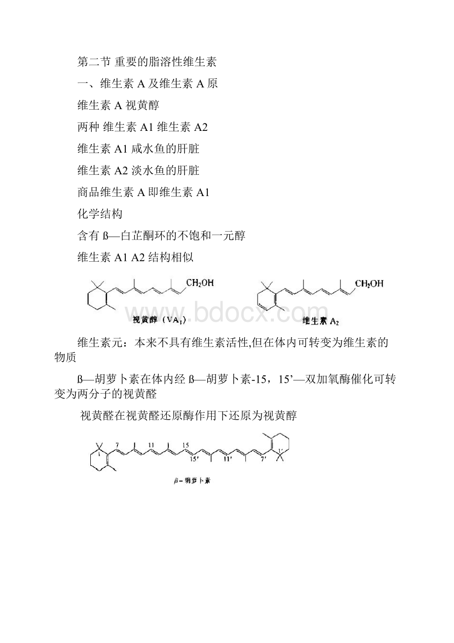 维生素讲课1.docx_第3页