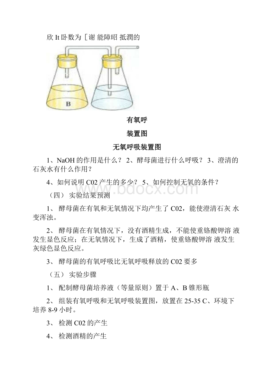 光合作用和呼吸作用知识点总结.docx_第2页