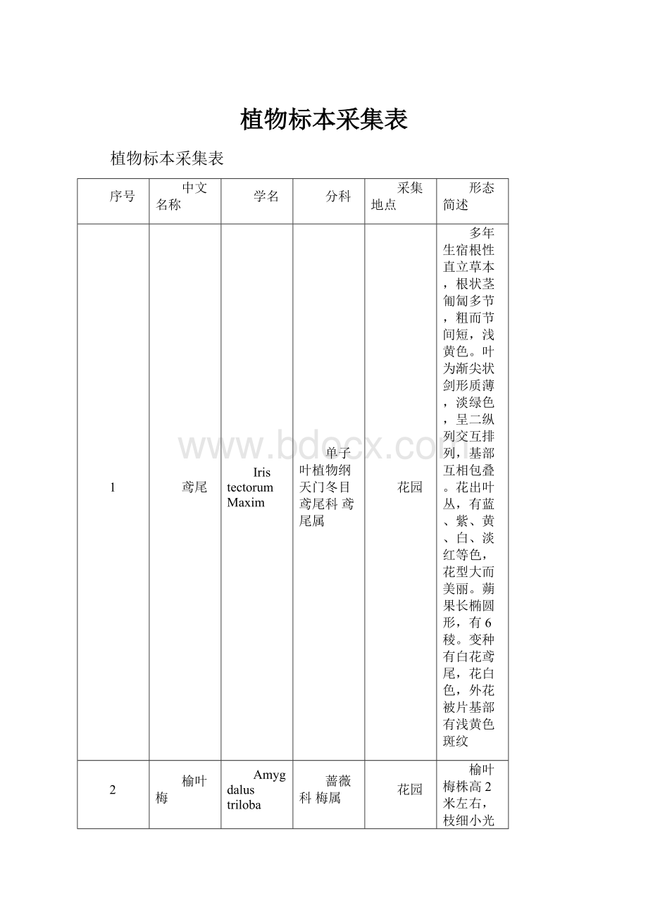 植物标本采集表.docx