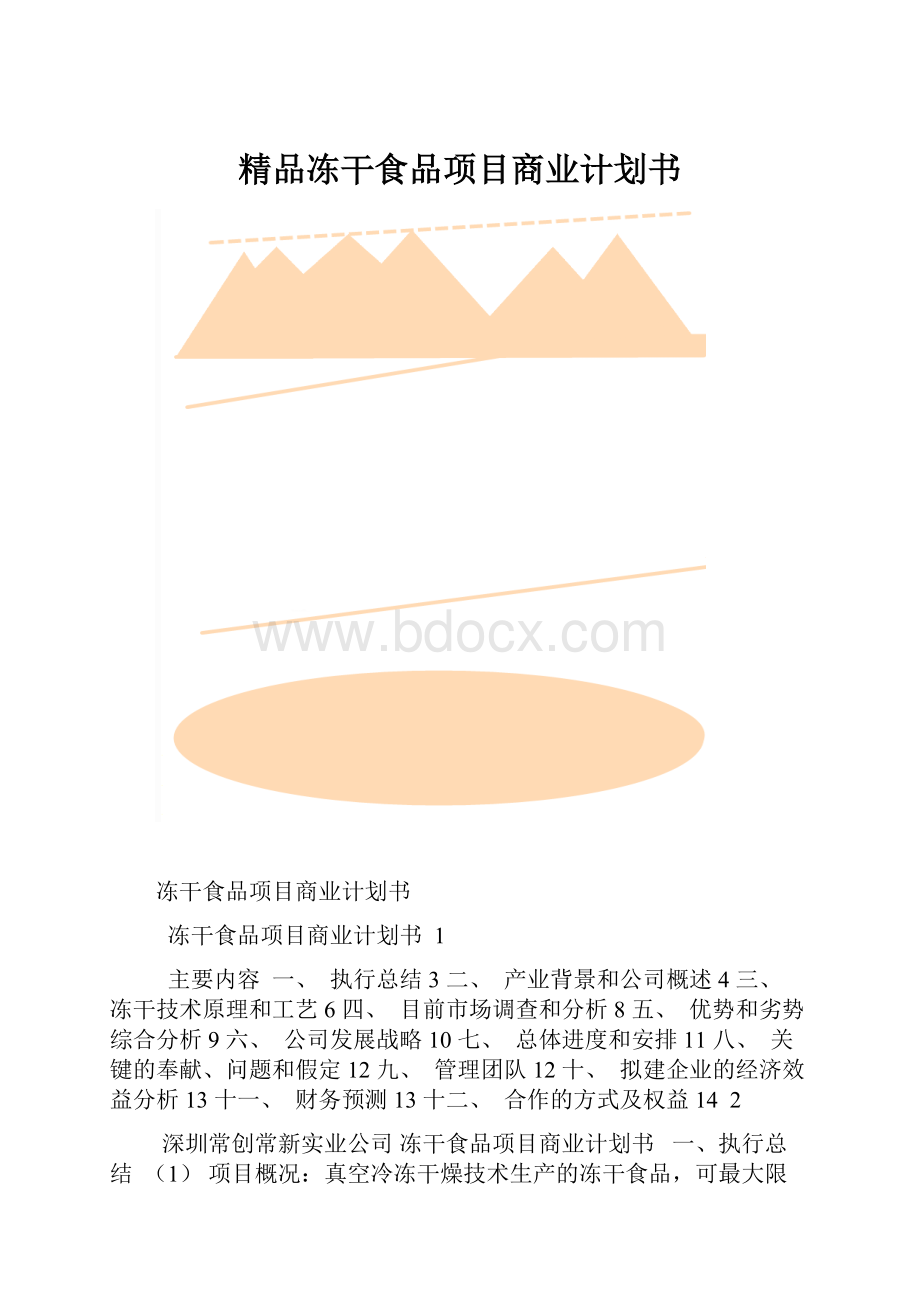 精品冻干食品项目商业计划书.docx