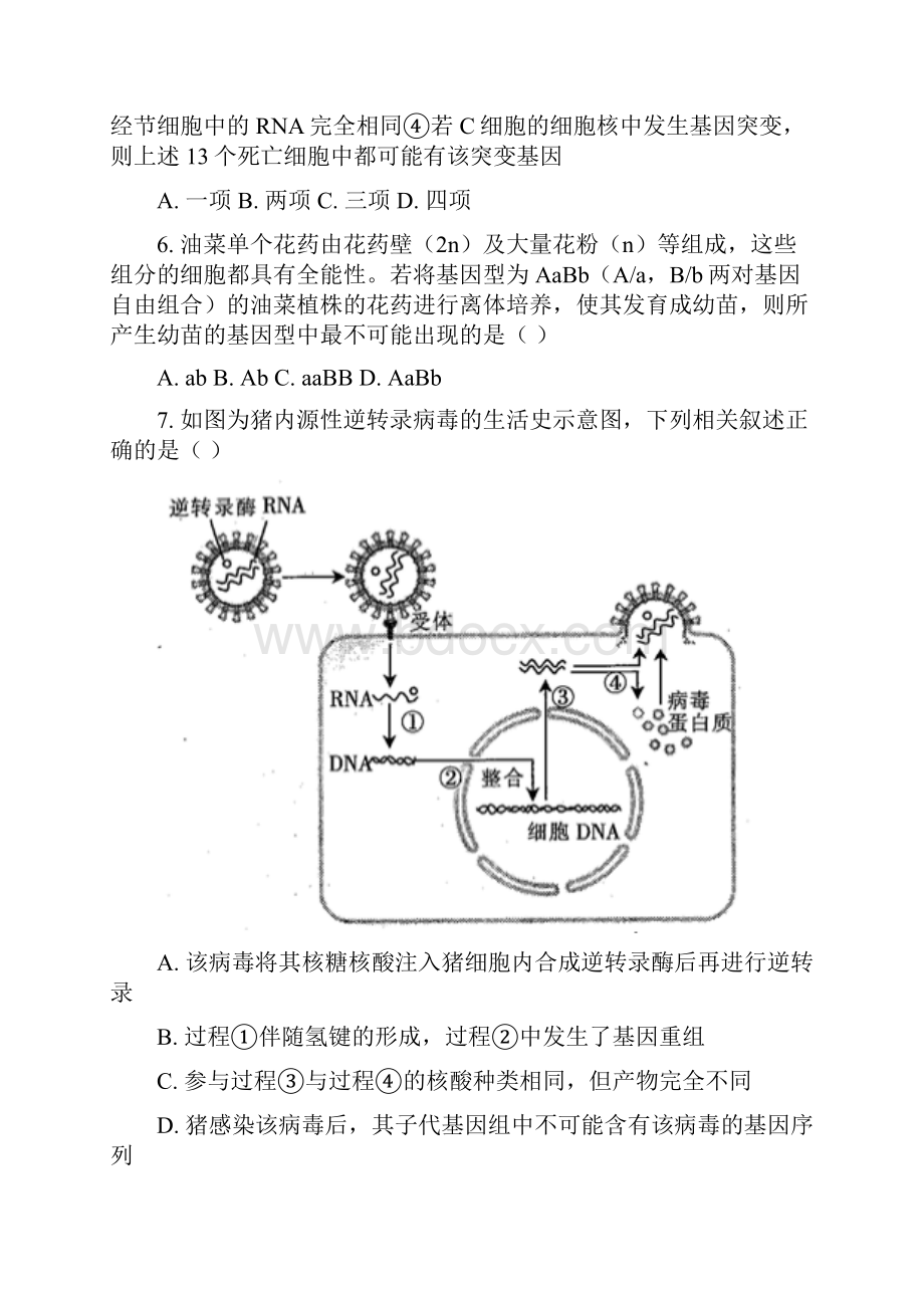 届河北省沧州市高三二模生物试题.docx_第3页