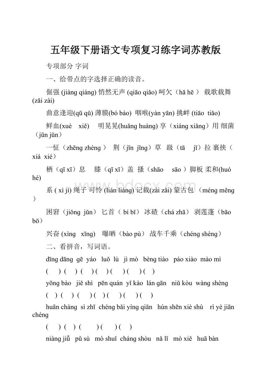 五年级下册语文专项复习练字词苏教版.docx_第1页