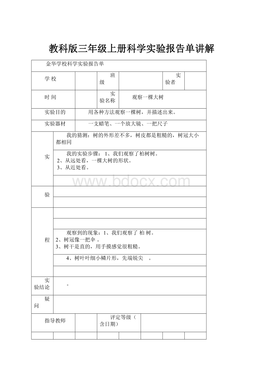 教科版三年级上册科学实验报告单讲解.docx