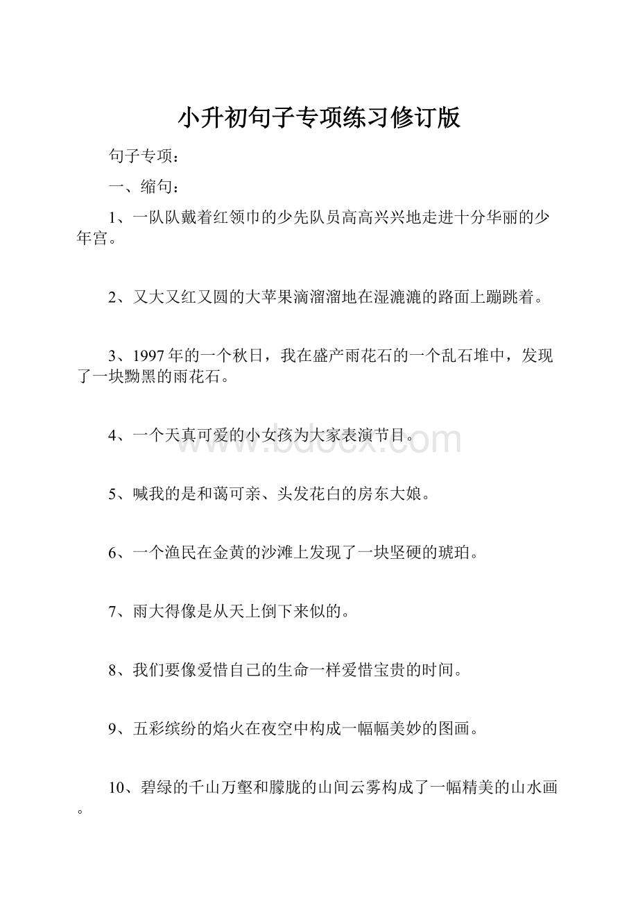 小升初句子专项练习修订版.docx