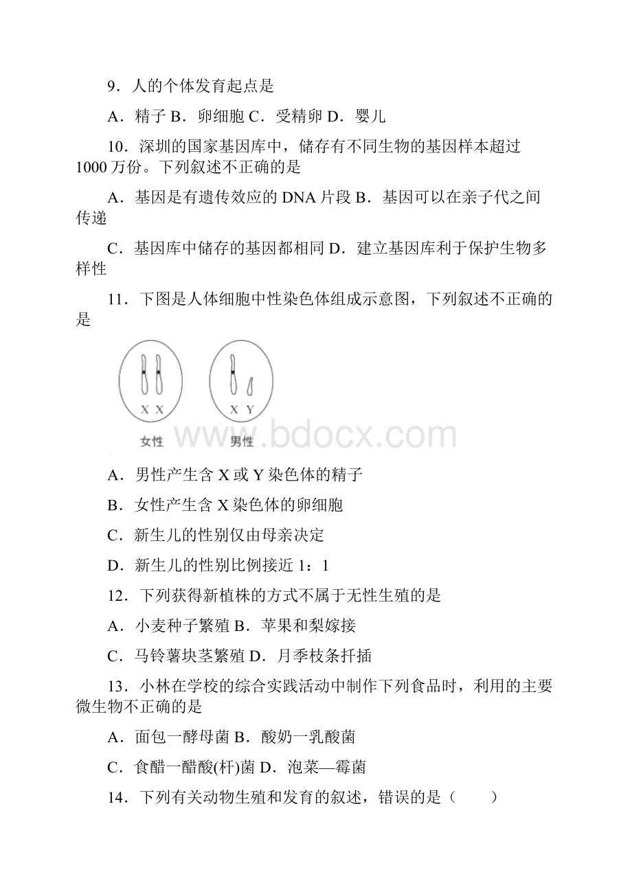 山东省枣庄市台儿庄区学年八年级下学期期中生物试题.docx_第3页