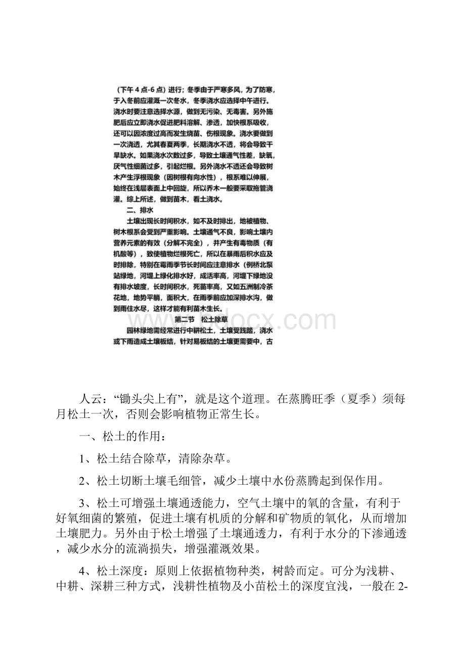 园林绿化养护质量标准及技术规范.docx_第3页