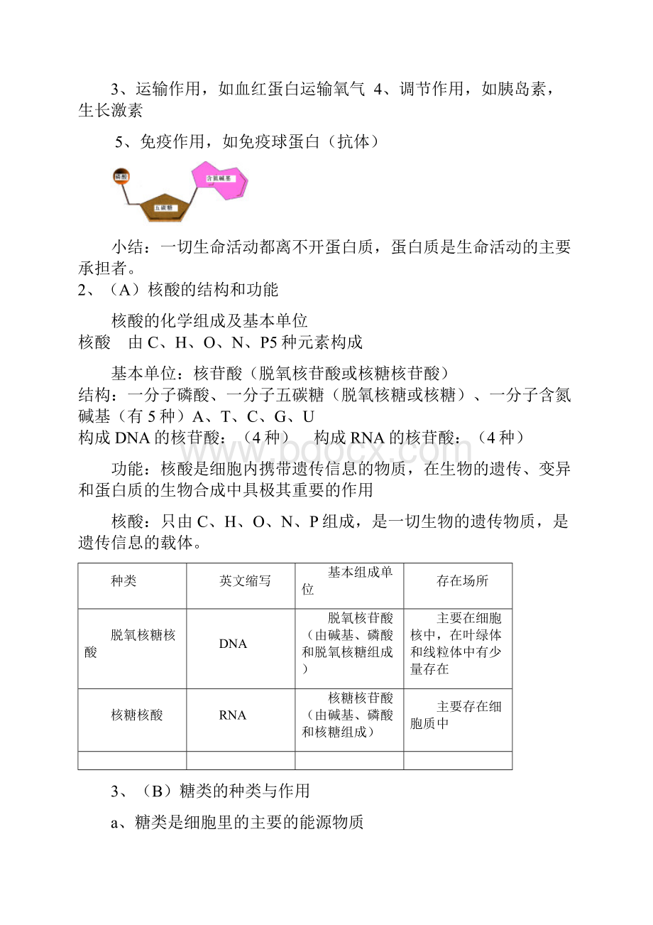 江苏省高中学业水平测试必修生物知识点归纳.docx_第2页