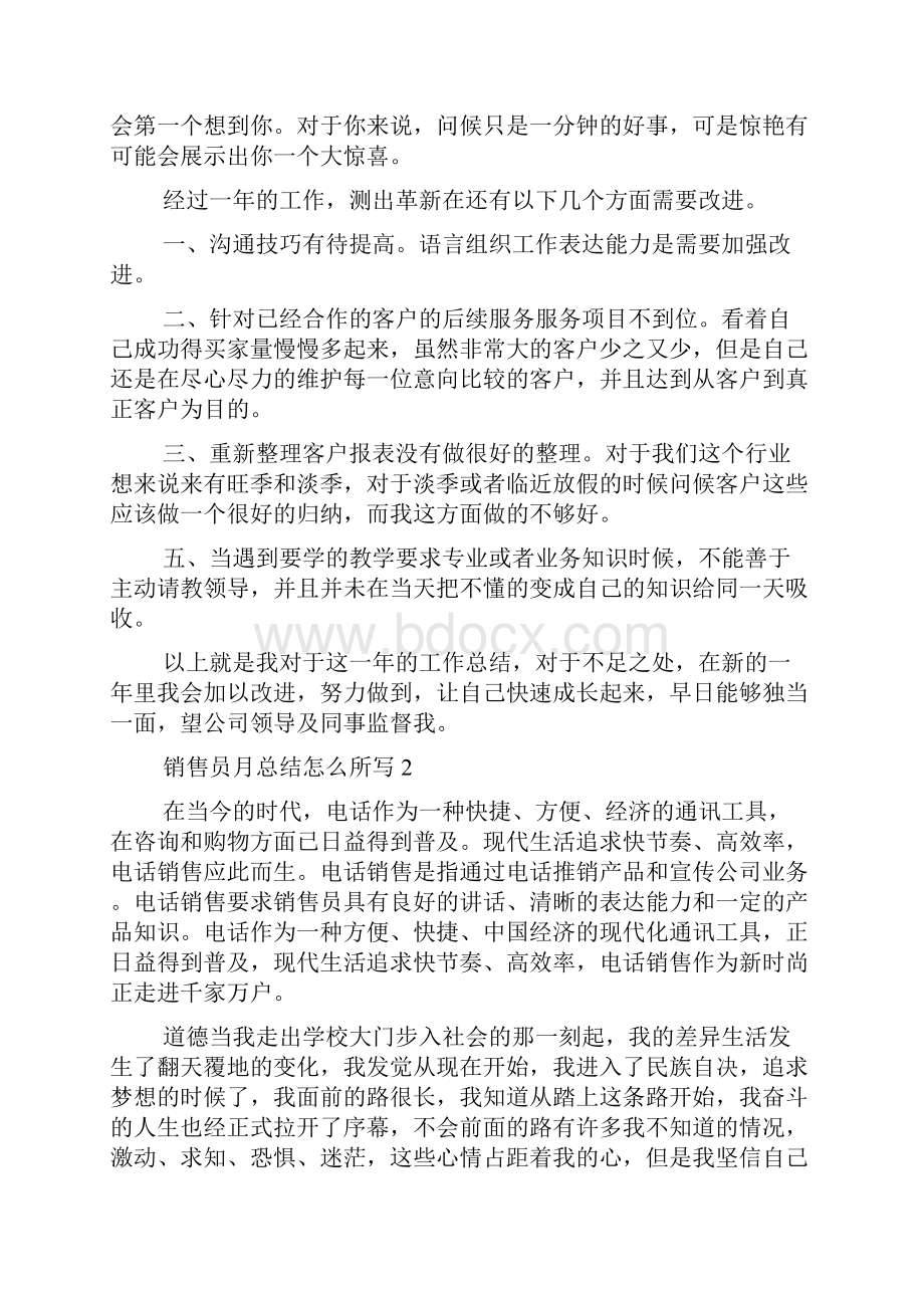 销售员月总结怎么写.docx_第2页