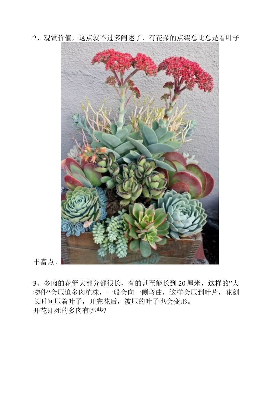 这些多肉开花即死且看且珍惜.docx_第2页