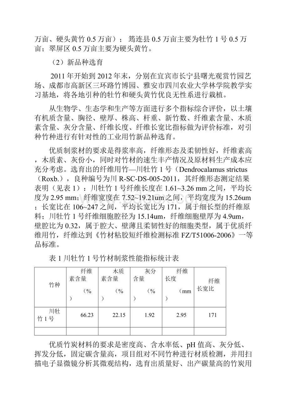 项目工作总结报告.docx_第3页