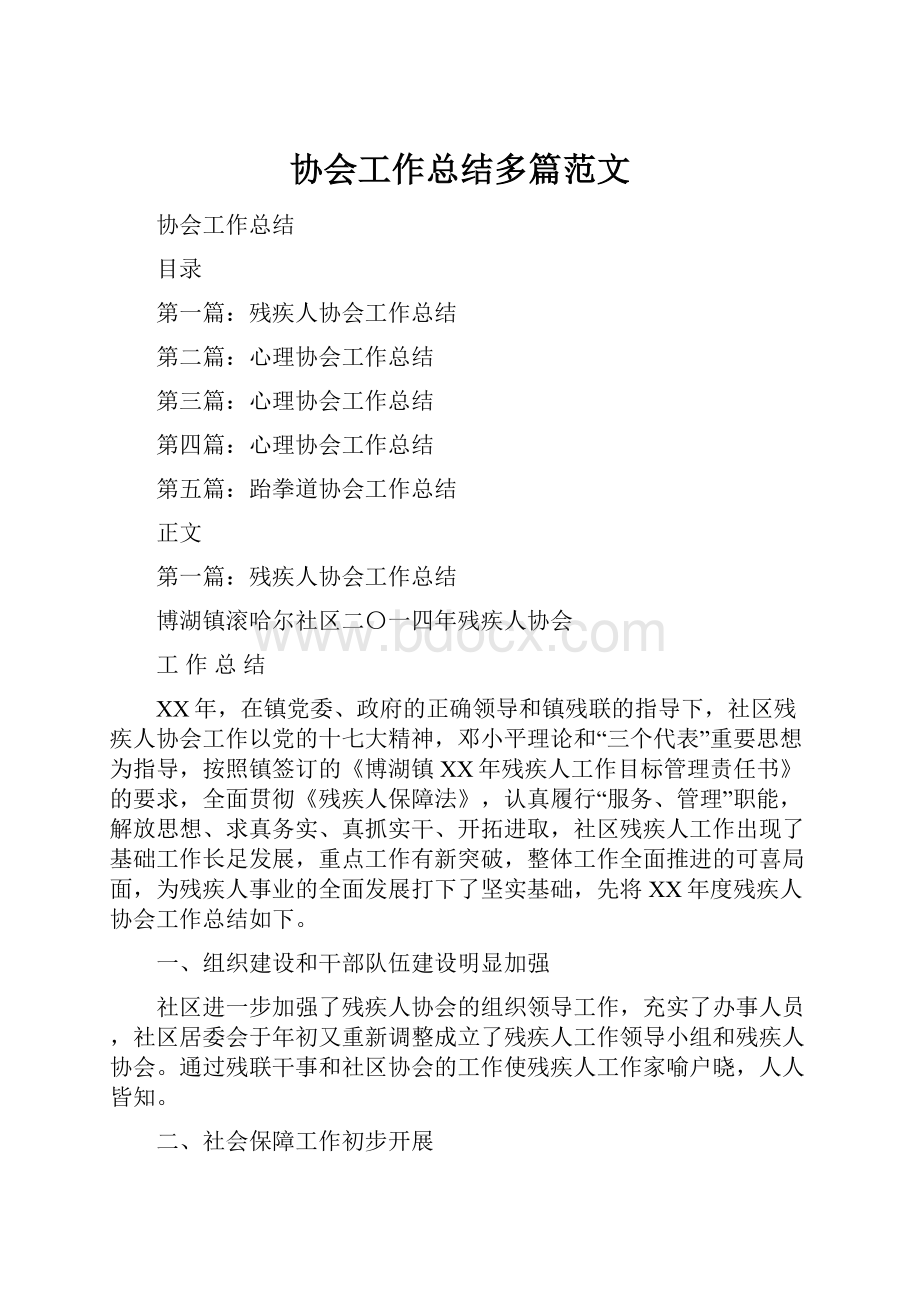 协会工作总结多篇范文.docx