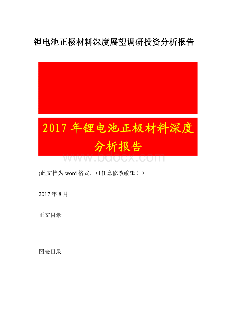 锂电池正极材料深度展望调研投资分析报告.docx