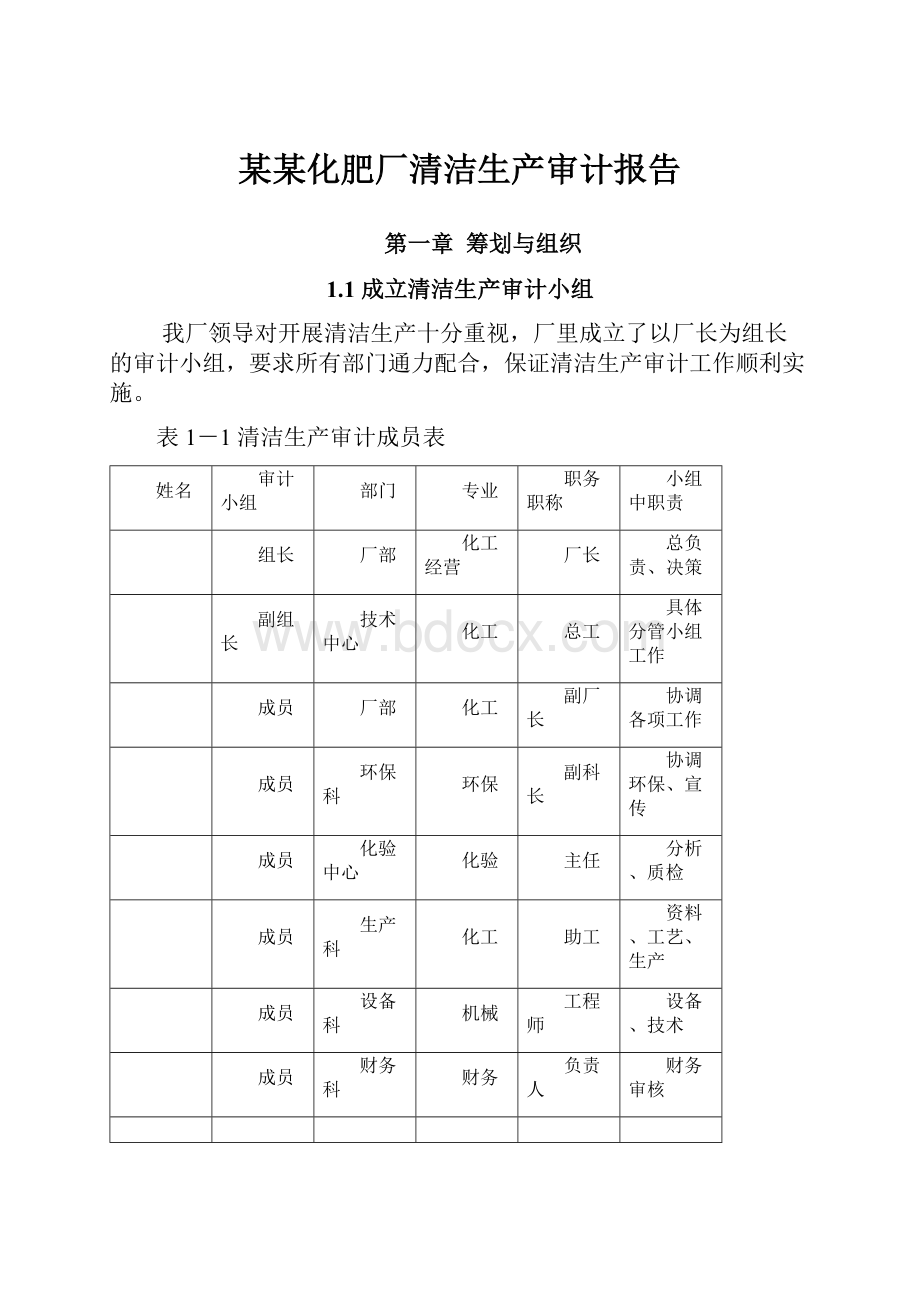 某某化肥厂清洁生产审计报告.docx_第1页