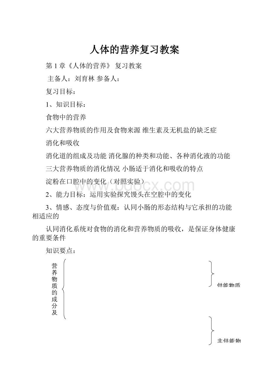 人体的营养复习教案.docx_第1页