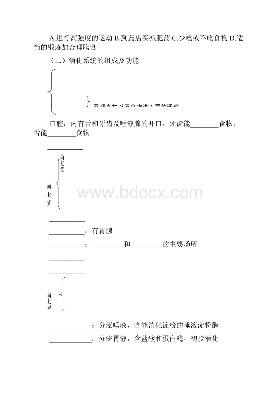 人体的营养复习教案.docx_第3页