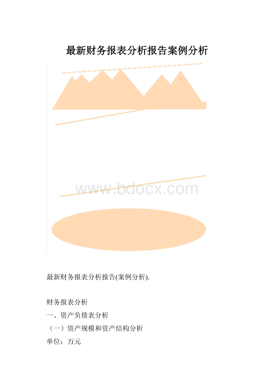 最新财务报表分析报告案例分析.docx