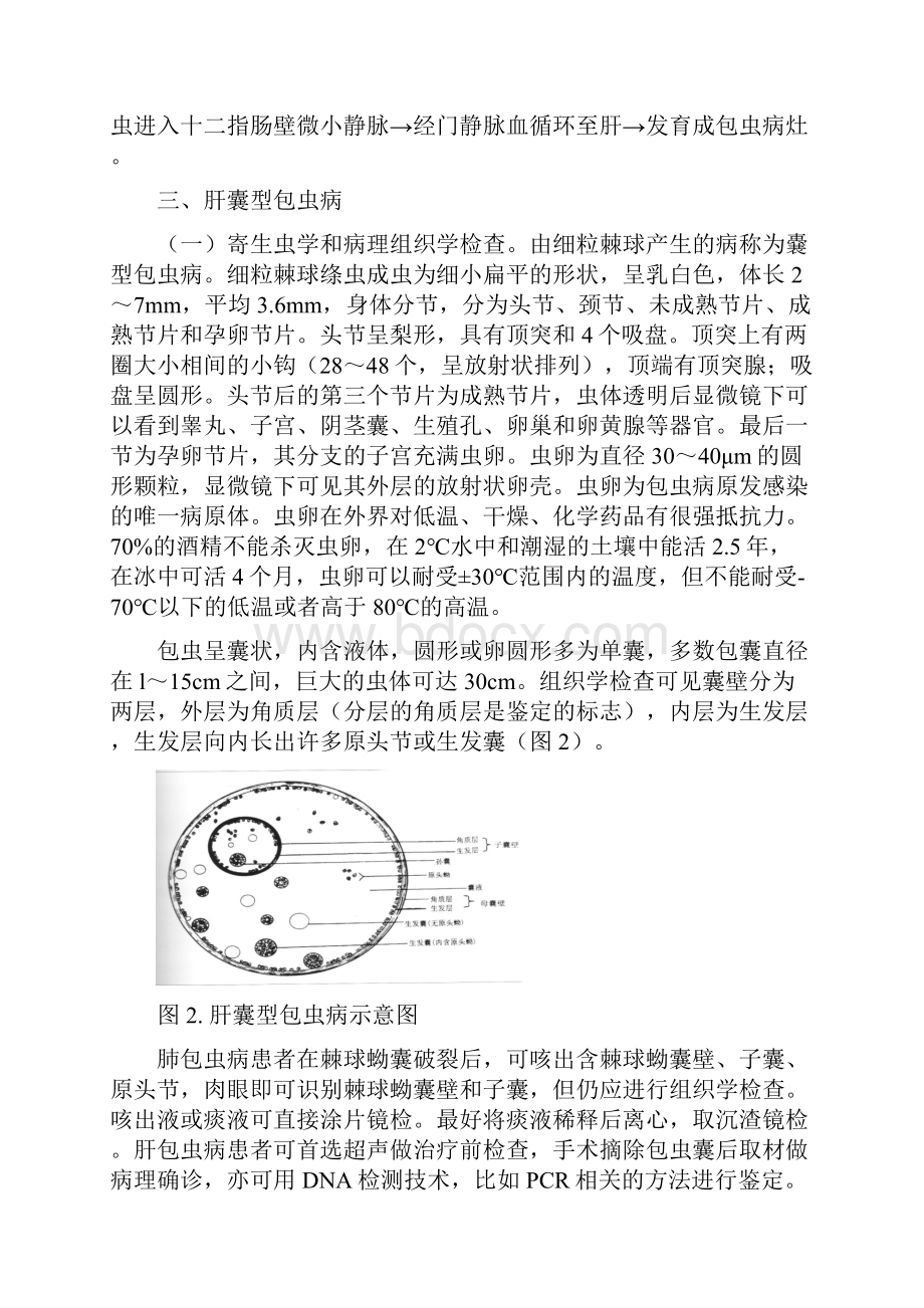 包虫病诊疗方案.docx_第3页