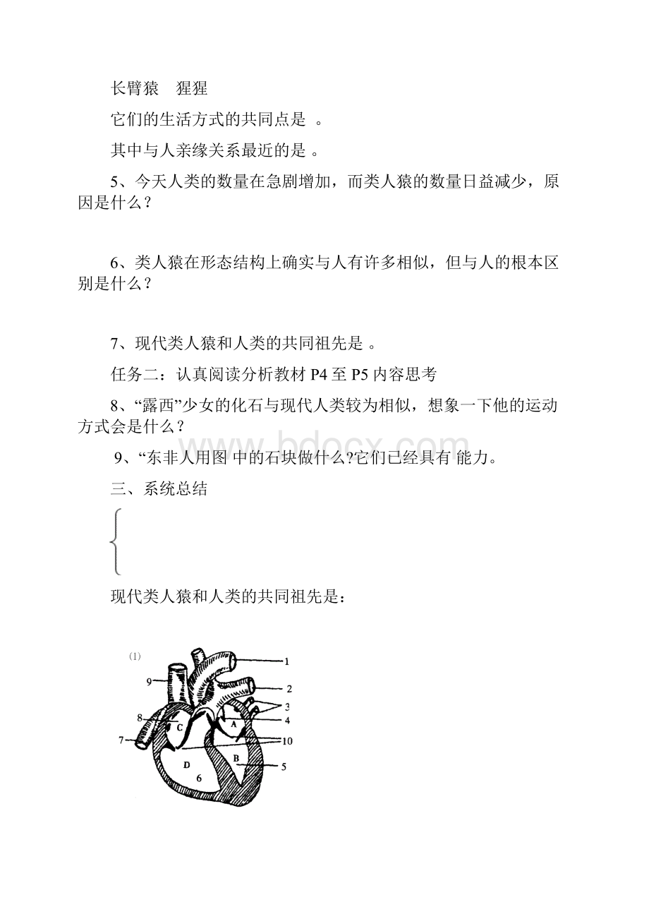 七年级生物下册导学案及答案全册.docx_第2页