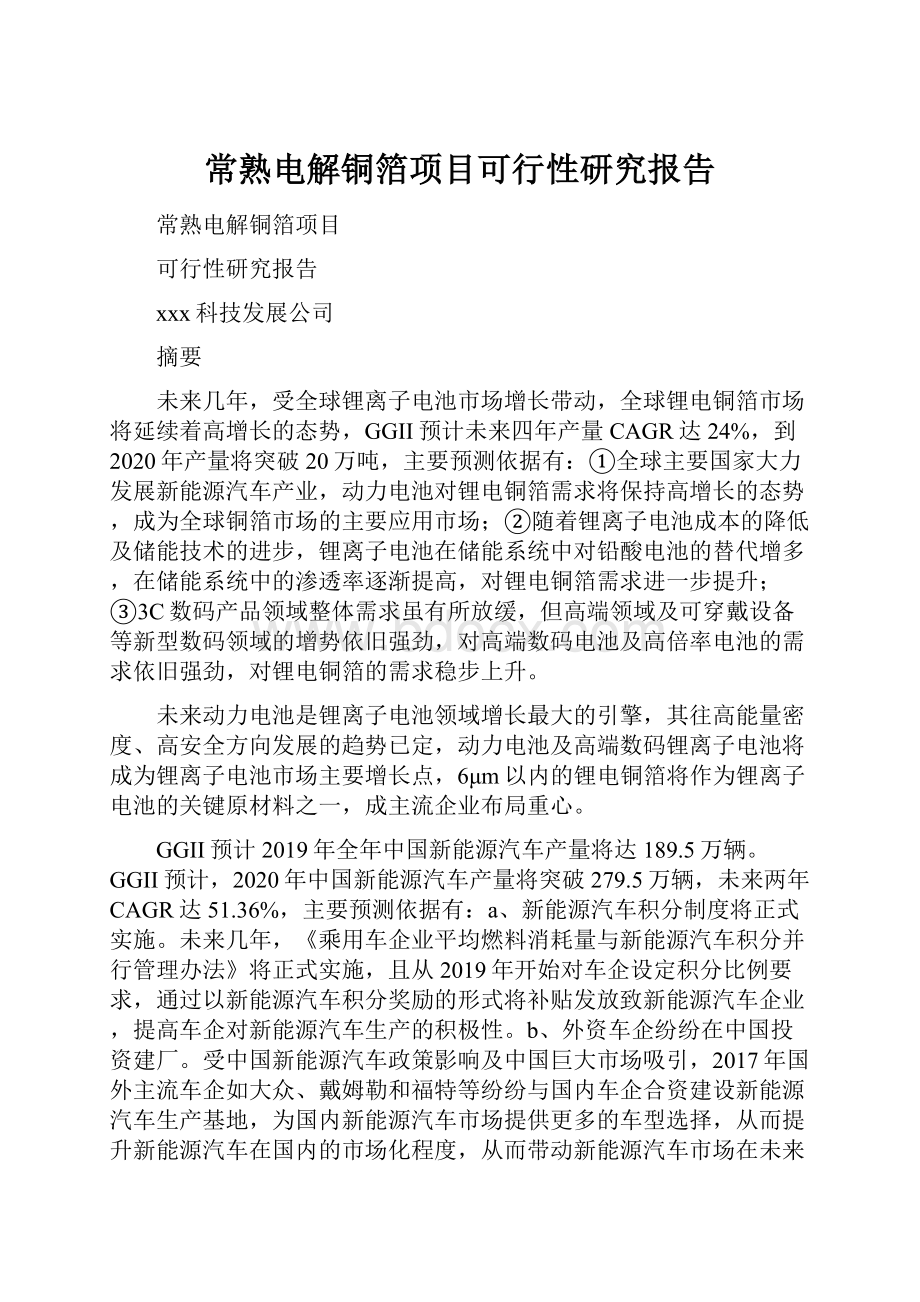 常熟电解铜箔项目可行性研究报告.docx