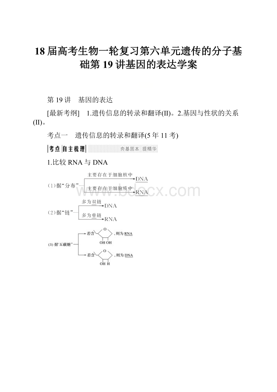 18届高考生物一轮复习第六单元遗传的分子基础第19讲基因的表达学案.docx