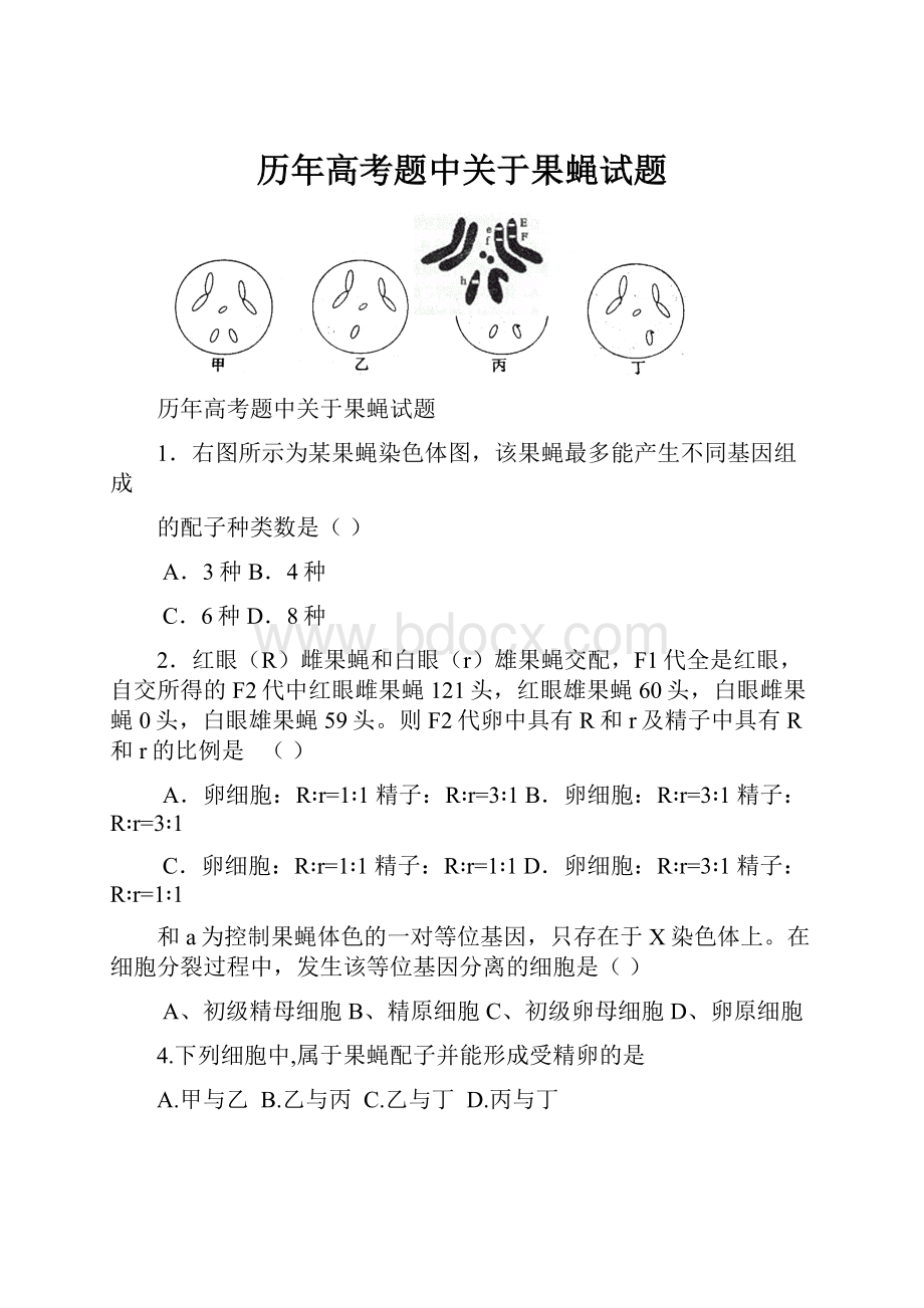 历年高考题中关于果蝇试题.docx_第1页