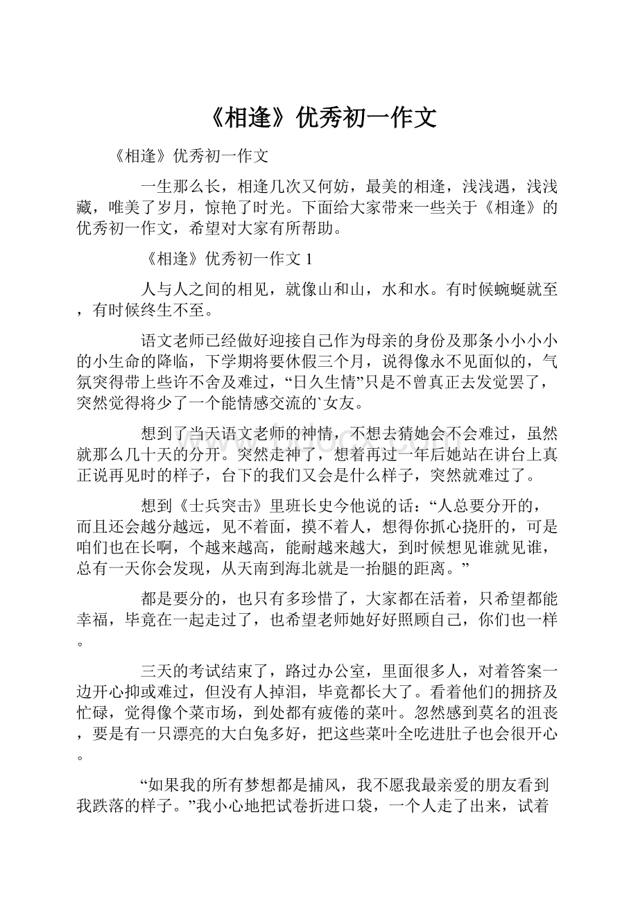 《相逢》优秀初一作文.docx