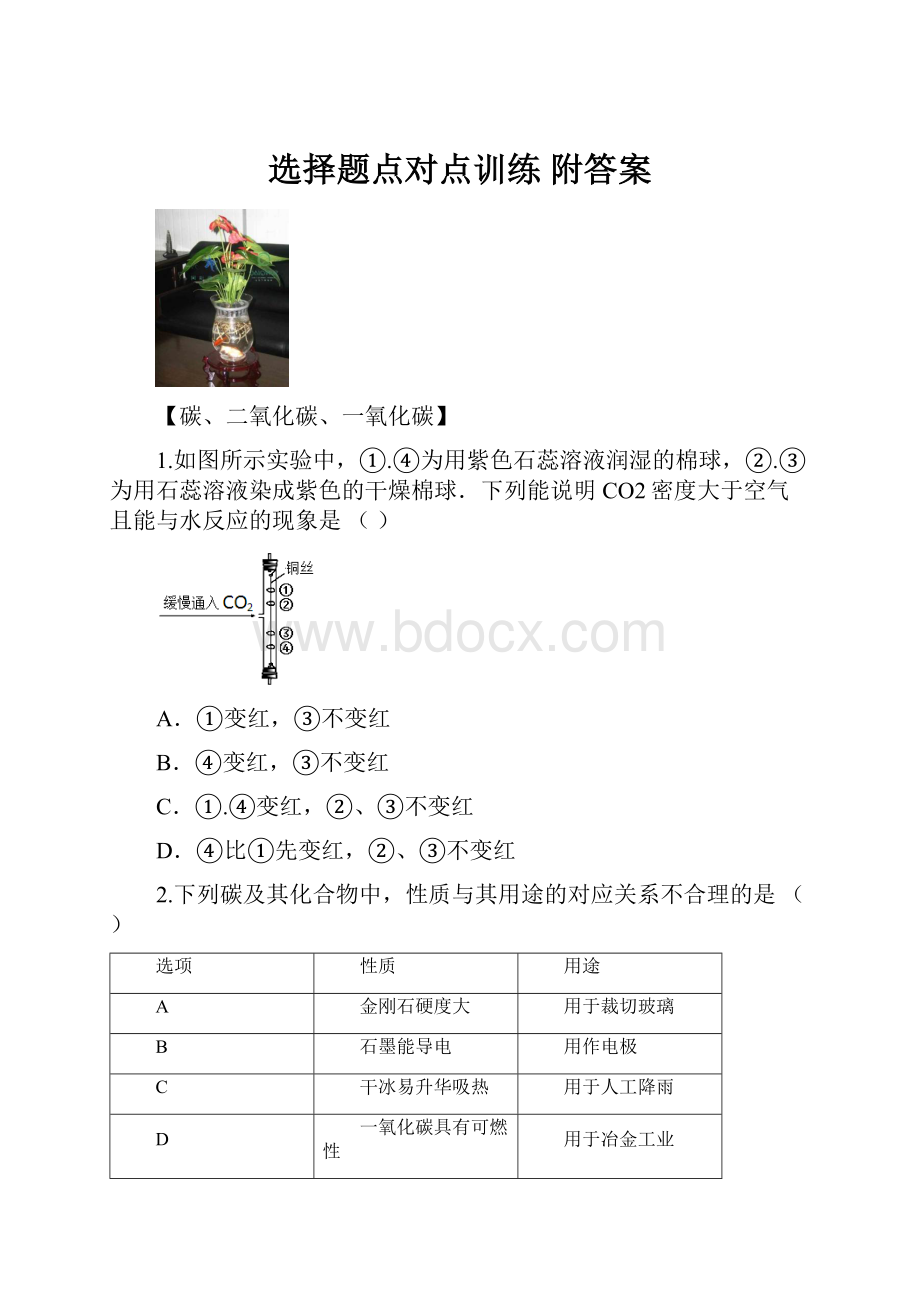 选择题点对点训练 附答案.docx