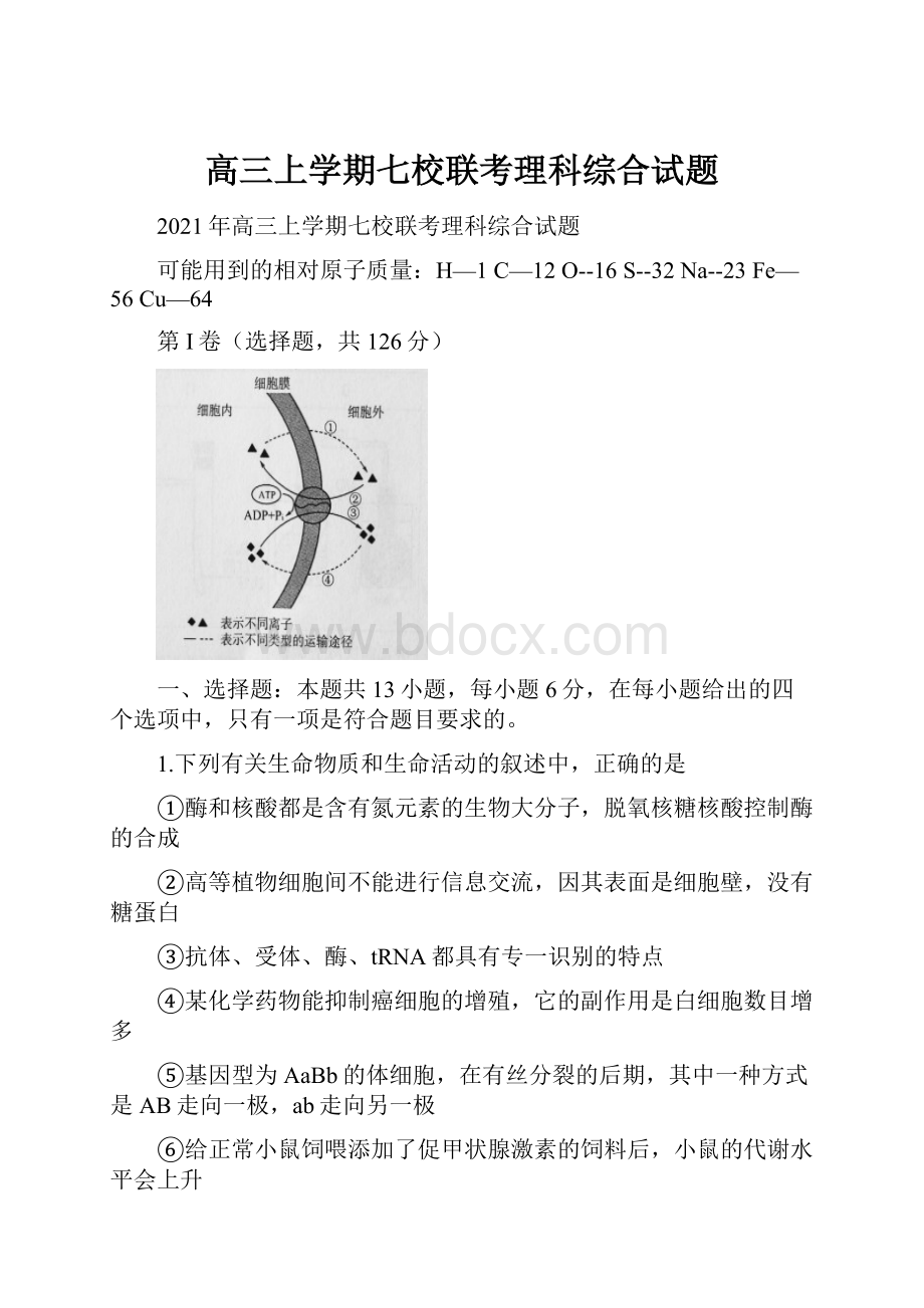 高三上学期七校联考理科综合试题.docx