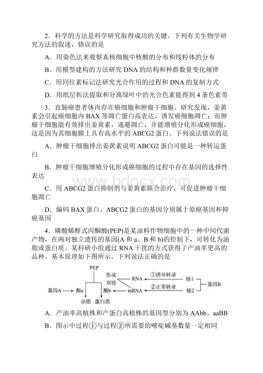 山东省日照市届高三下学期第一次模拟考试理科综合试题数理化网.docx_第2页