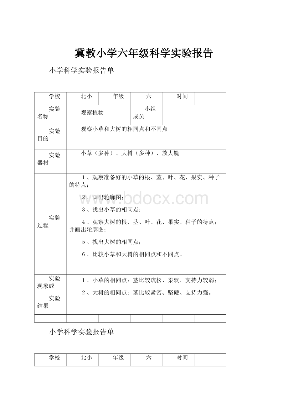 冀教小学六年级科学实验报告.docx