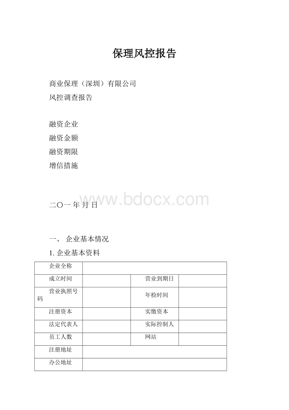 保理风控报告.docx_第1页