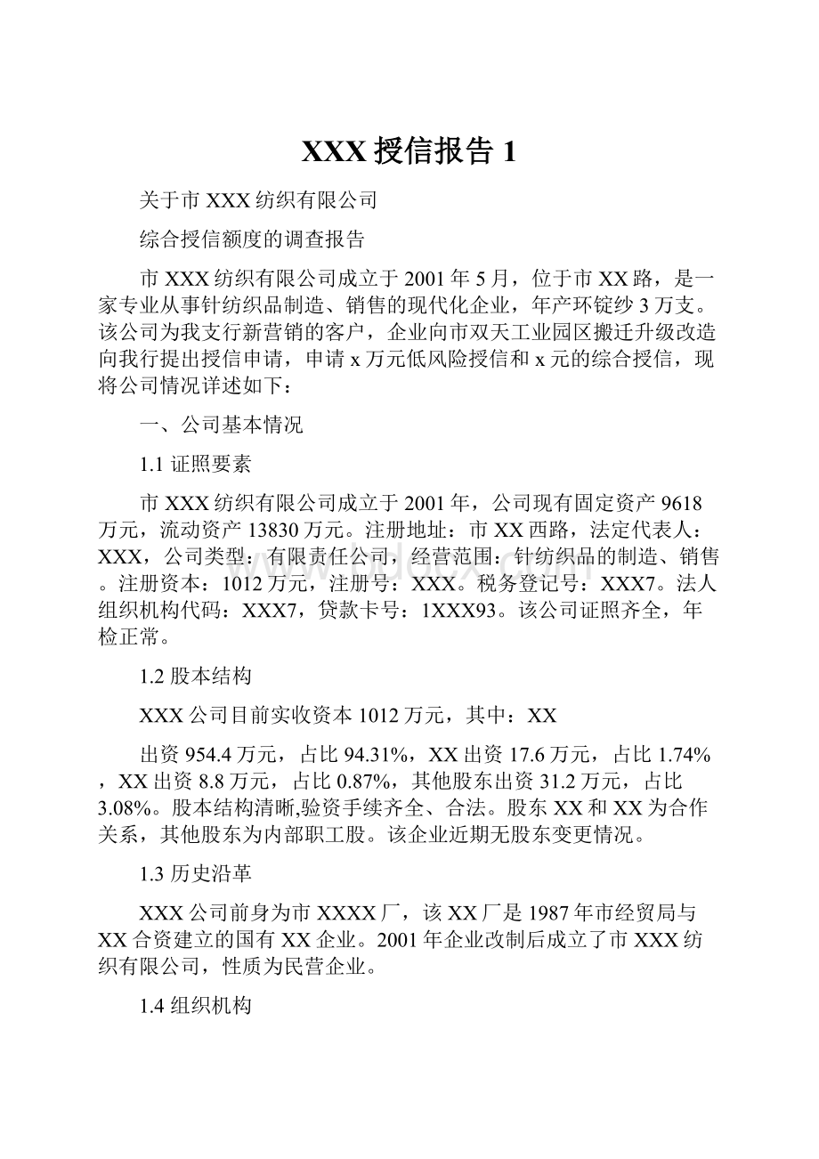 XXX授信报告1.docx_第1页