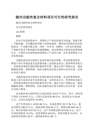 随州功能性复合材料项目可行性研究报告.docx