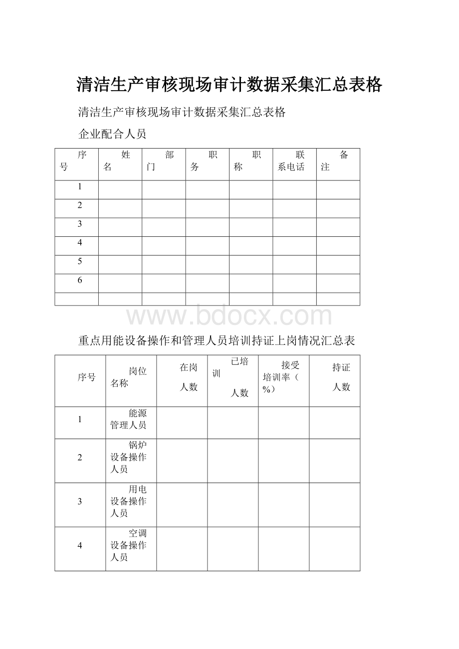 清洁生产审核现场审计数据采集汇总表格.docx_第1页