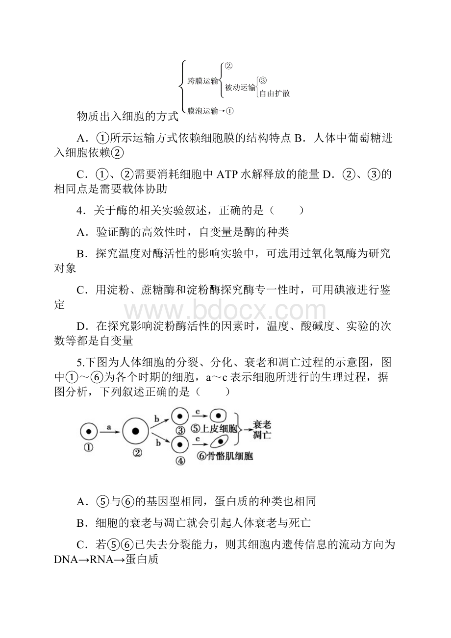 广东省惠州市博罗中学届高三理综月考试题.docx_第2页