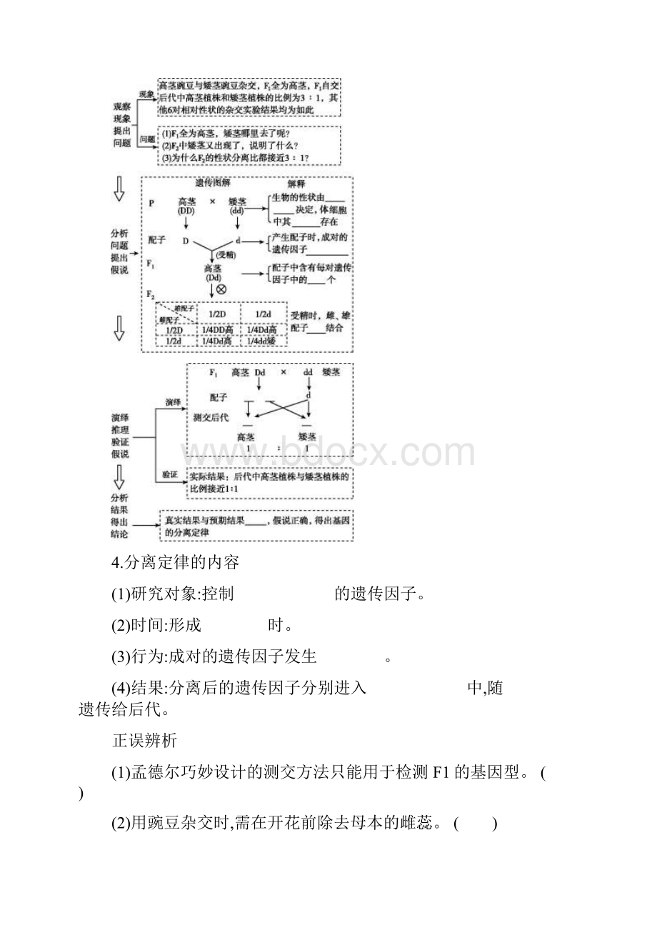 届 一轮复习人教版基因的分离定律 学案.docx_第2页