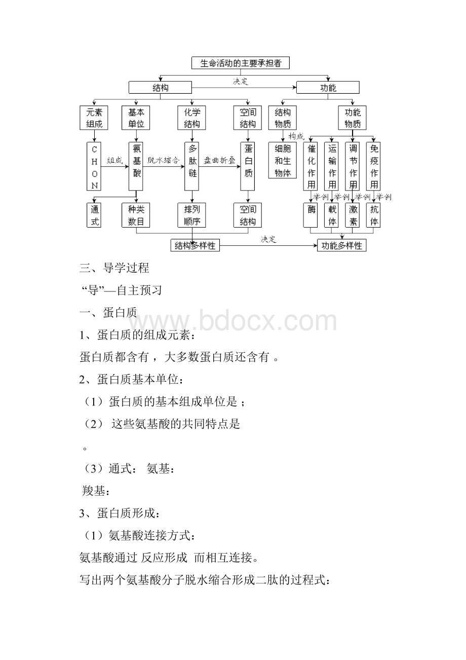 最新高中生物高一生物细胞中的蛋白质 精品.docx_第2页